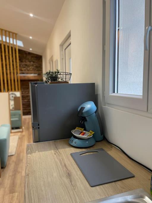Joli Studio Maisonnette Avec Cachet Toulouse Exterior foto